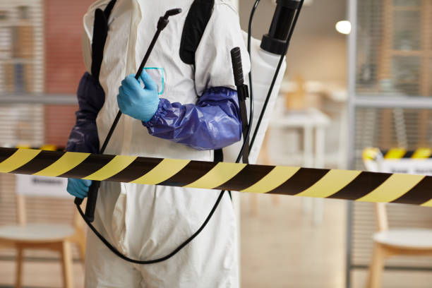 Professional Sewage Cleanup technician working in Advance, MO